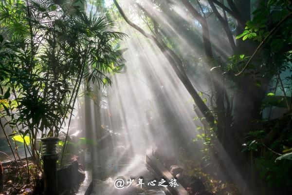 德天空记者：穆基勒仍想去拜仁，球员有信心未来几天内完成转会